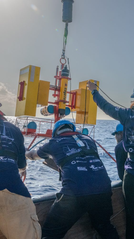 Nekton expedition team works off Comoros advancing 30x30 research on marine protected areas and deep-sea ecosystems.