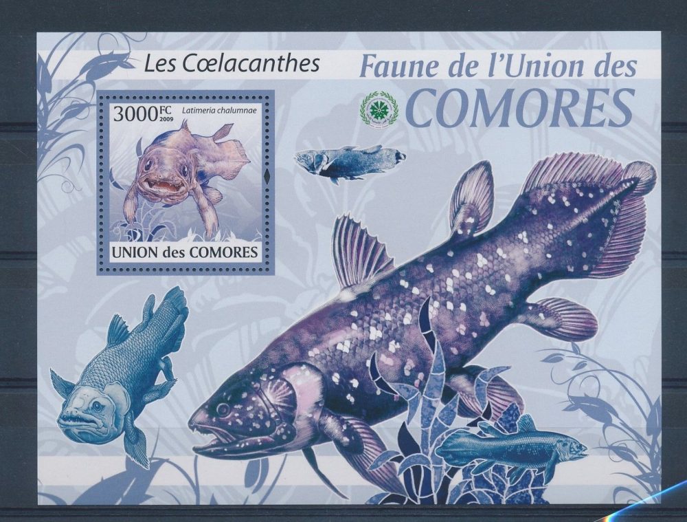 Comoros postage stamp depicting coelacanth fish, celebrating biodiversity, cultural pride, and marine protected areas protecting living fossil conservation icons.