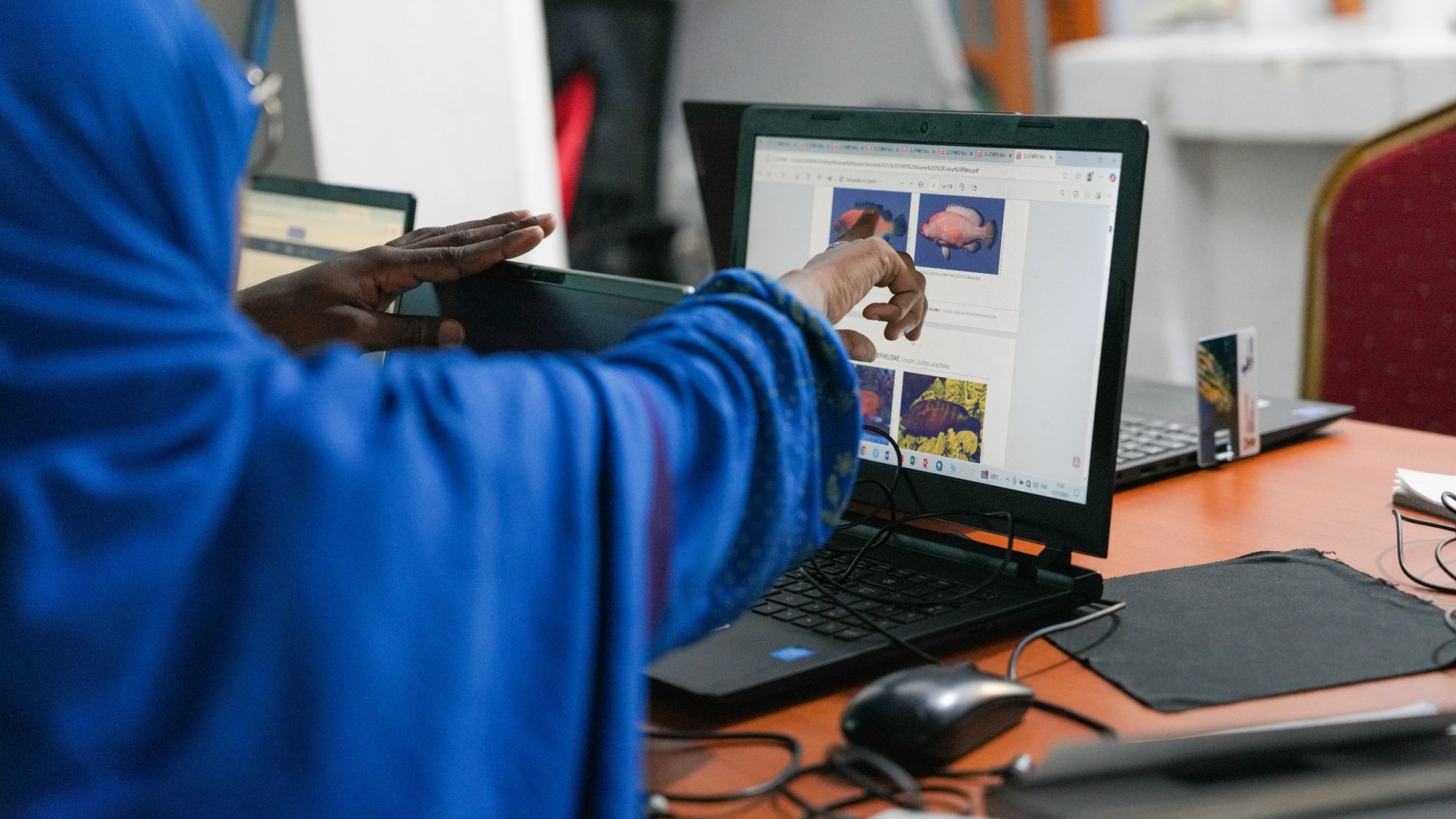 A participant in a knowledge exchange session in Comoros is interacting with a laptop, browsing images of fish species on the screen. The focus is on learning and collaboration, showcasing a moment of digital engagement in a group setting.